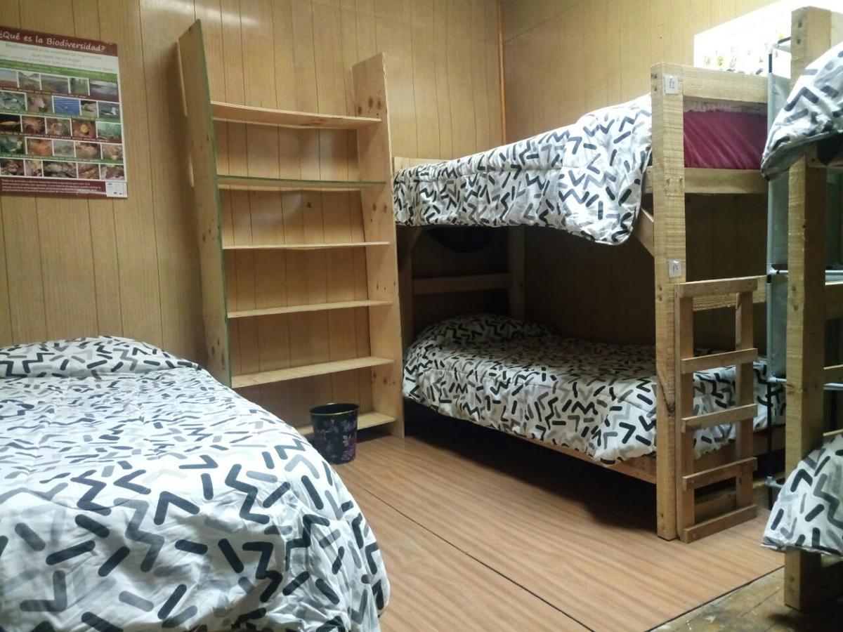 Hostal La Morenitaプンタアレナス エクステリア 写真